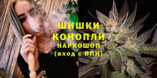 спиды Горняк