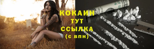 спиды Горняк