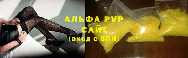 спиды Горняк