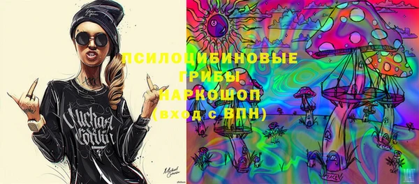 спиды Горняк