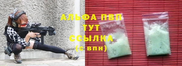 спиды Горняк