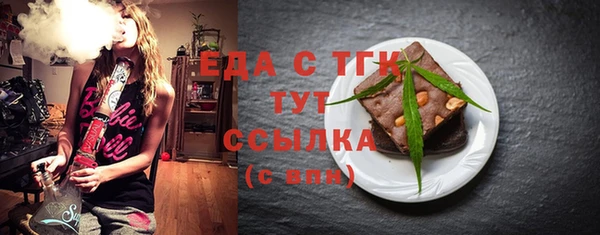 спиды Горняк